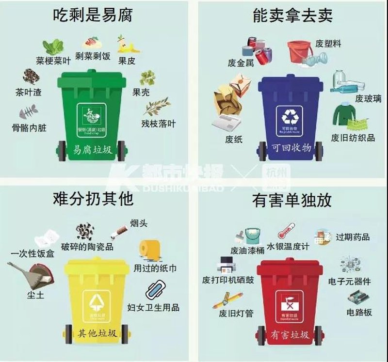 废品行业的绿色革命：志功的故事